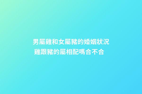 男屬雞和女屬豬的婚姻狀況 雞跟豬的屬相配嗎合不合